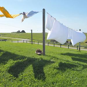 cuerda de nylon de la pesca del imán de 8m m 65 pies de cuerda de la seguridad con mosquetón 9